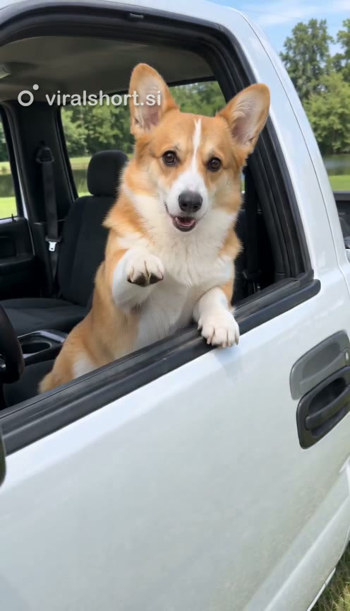The pickup pulls up