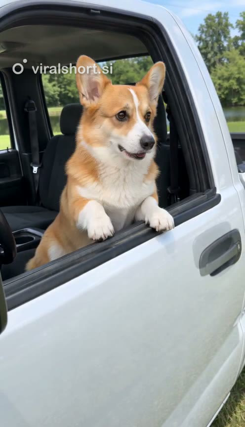 “State? This?”